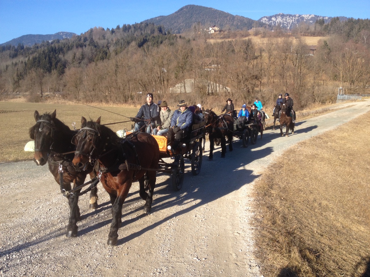 Reiten Fahren Silvia Gastager