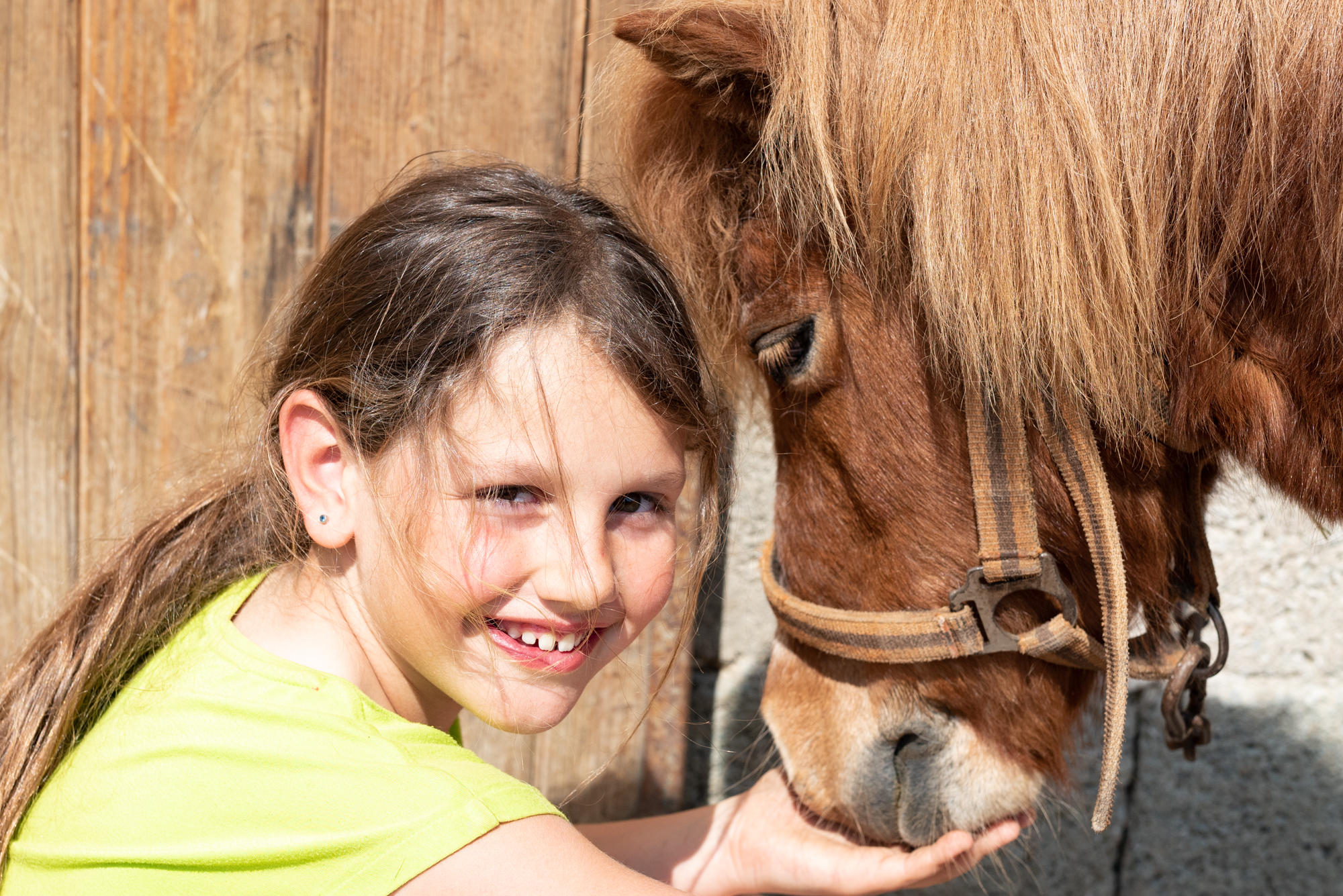 Reiten Fahren Silvia Gastager