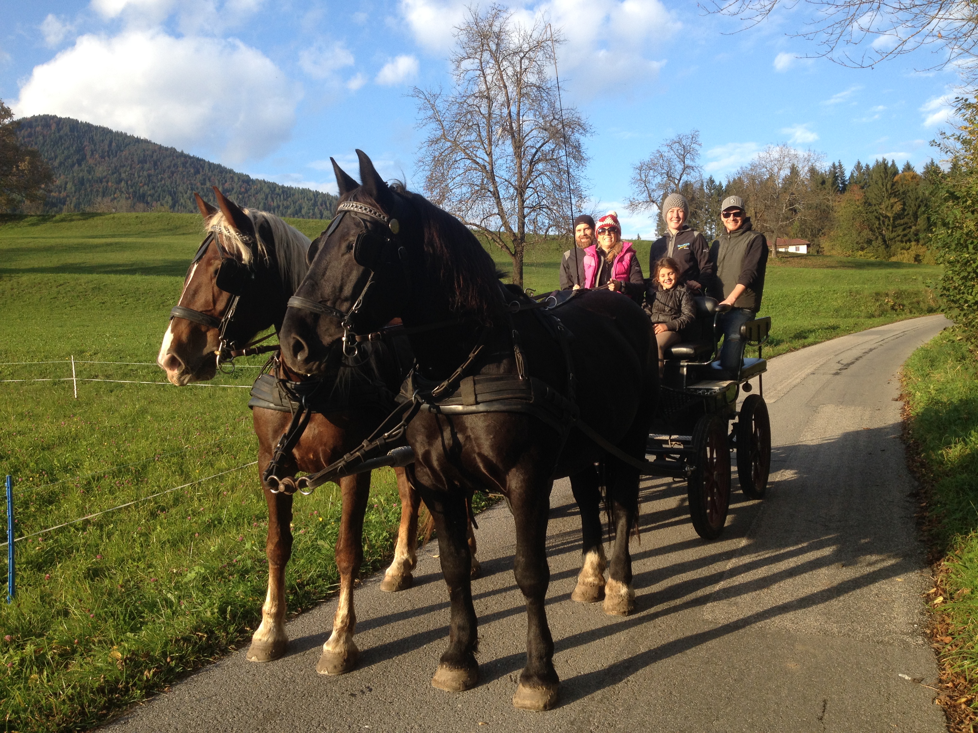 Reiten Fahren Silvia Gastager