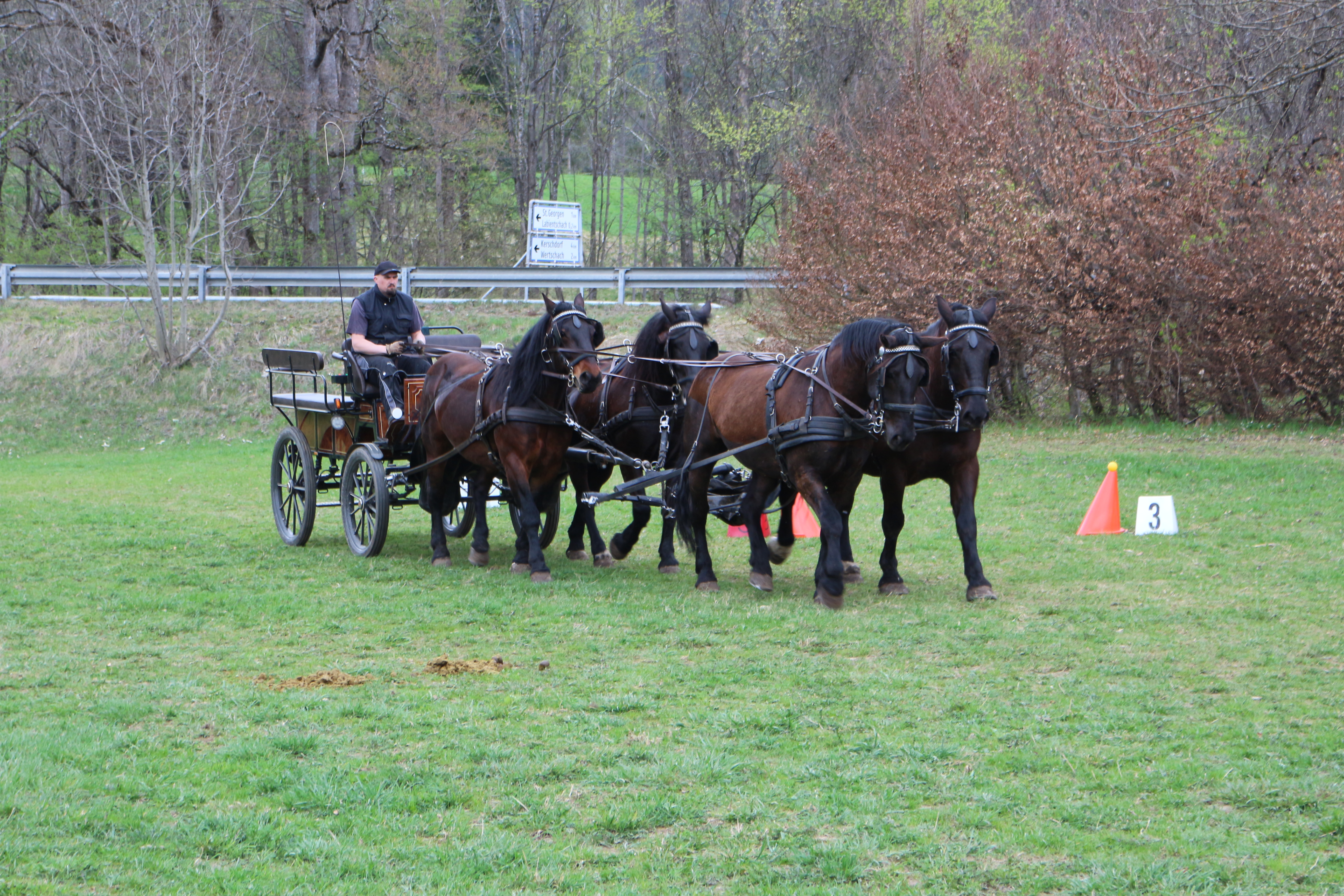 Reiten Fahren Silvia Gastager