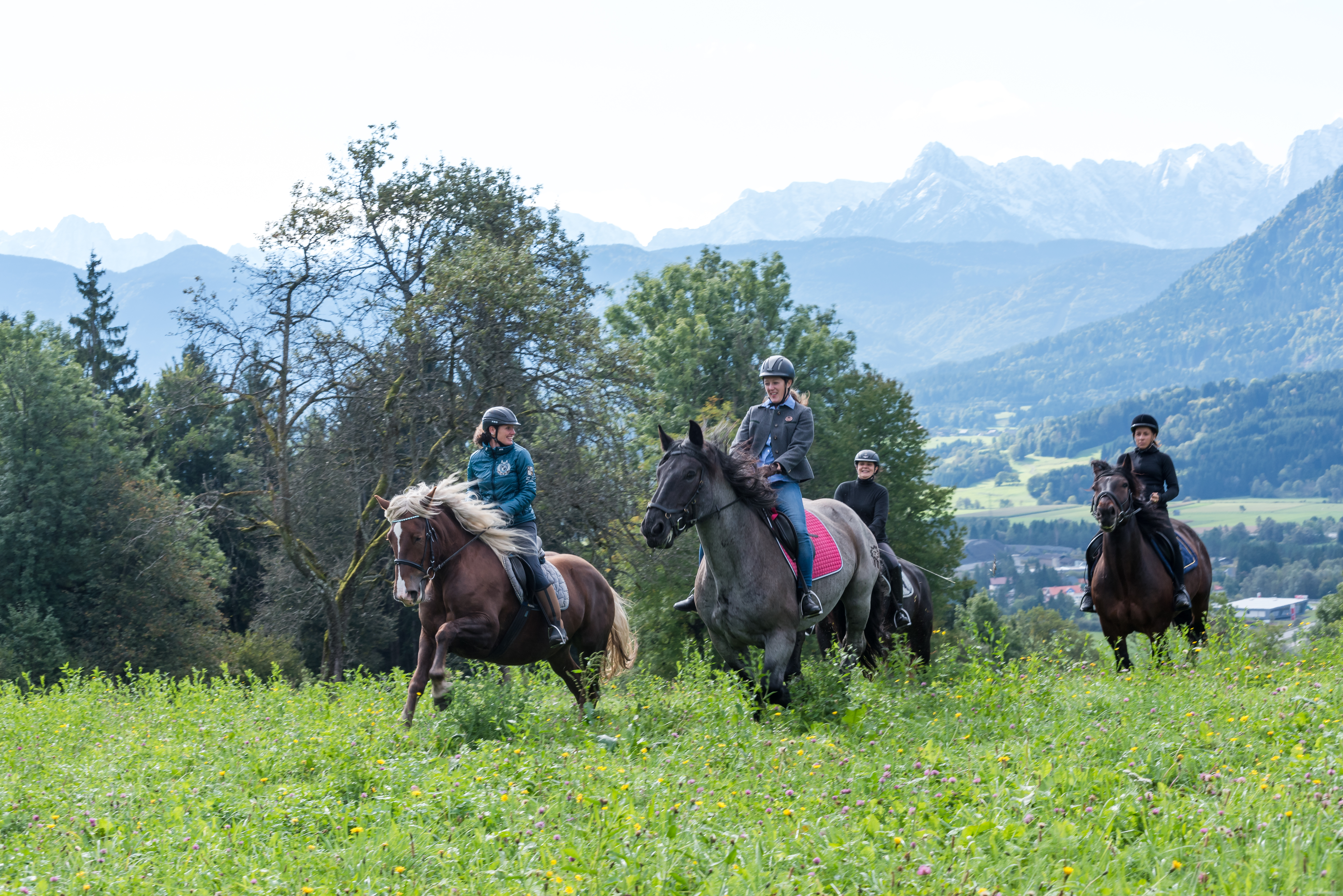 Reiten Fahren Silvia Gastager