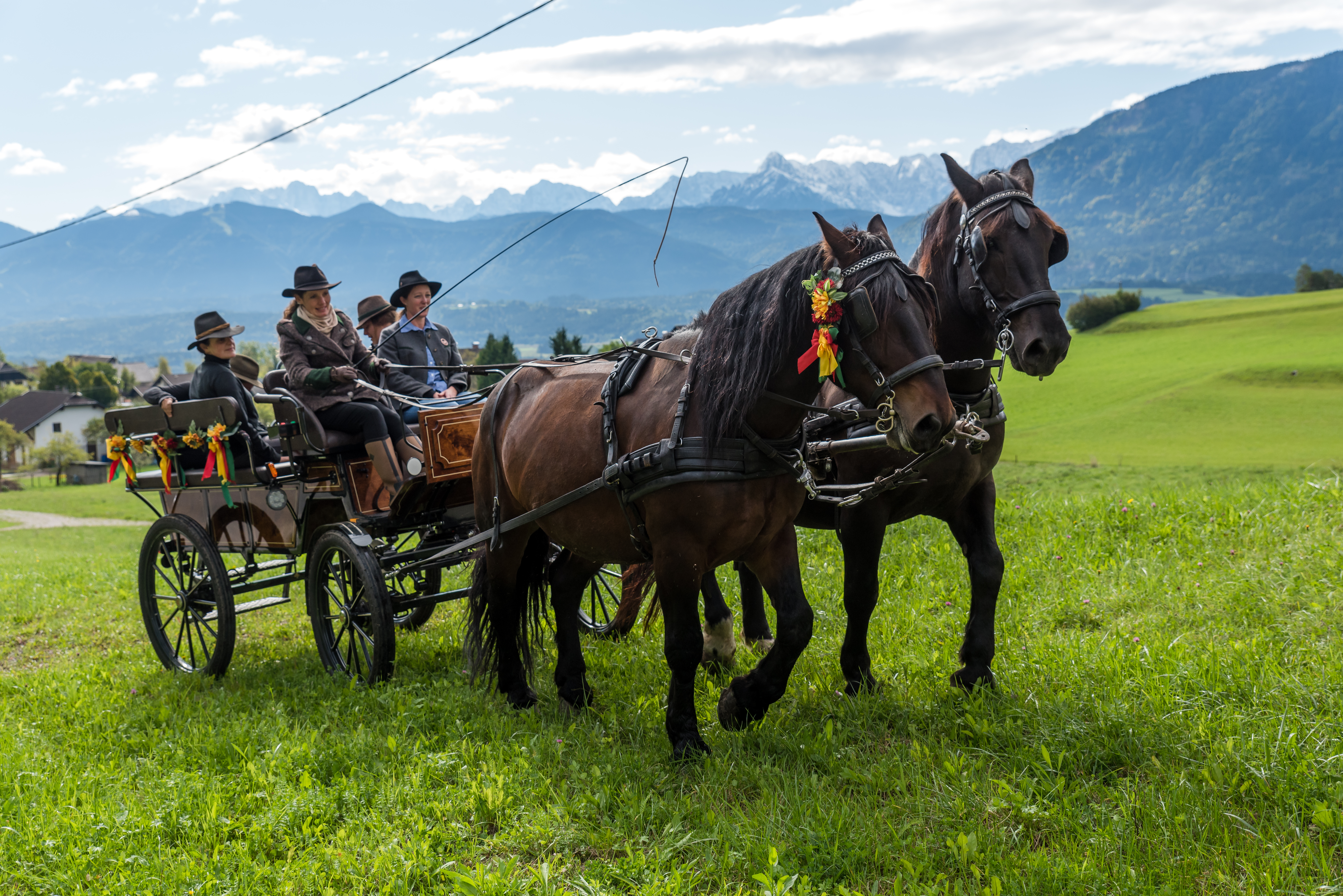 Reiten Fahren Silvia Gastager