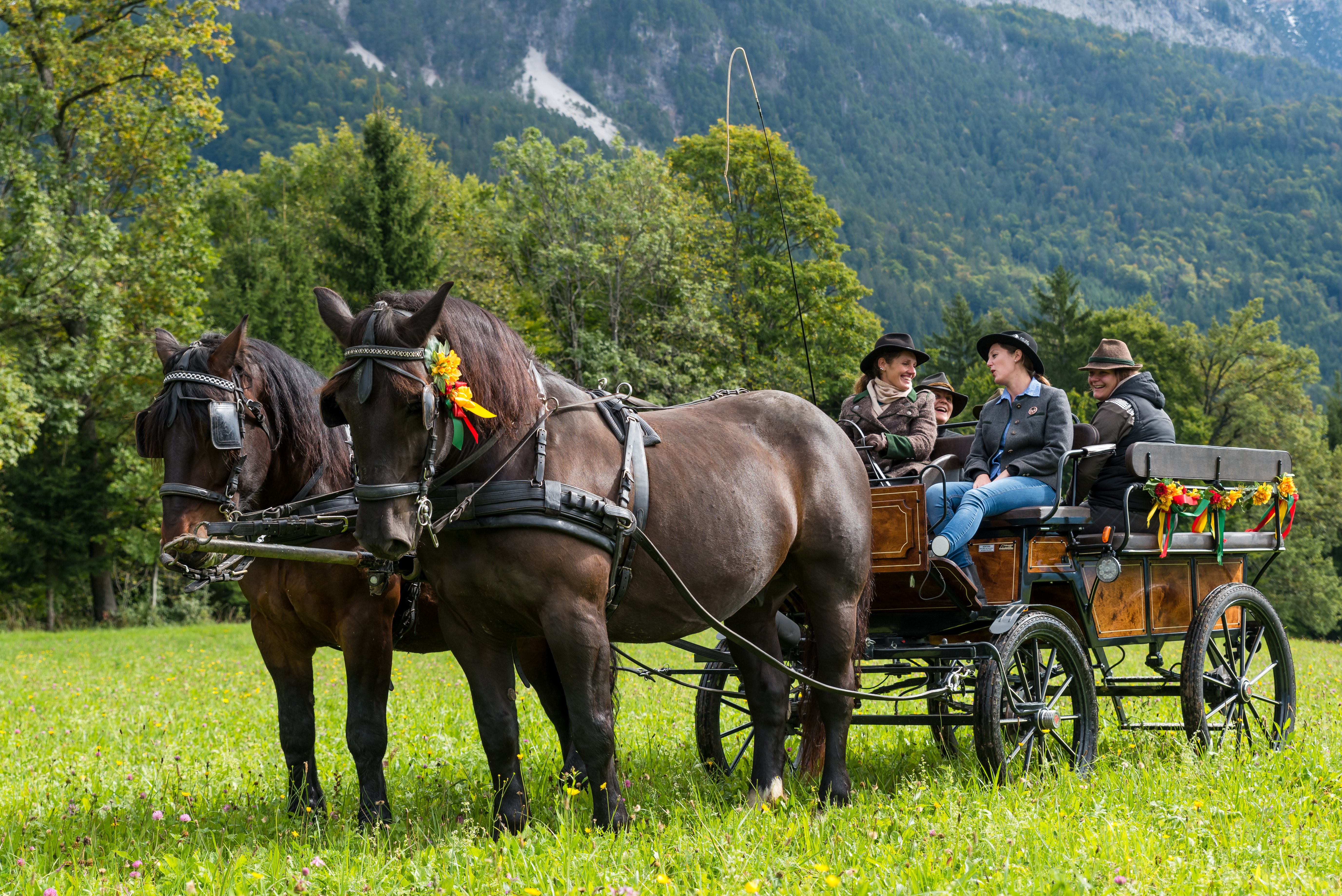 Reiten Fahren Silvia Gastager