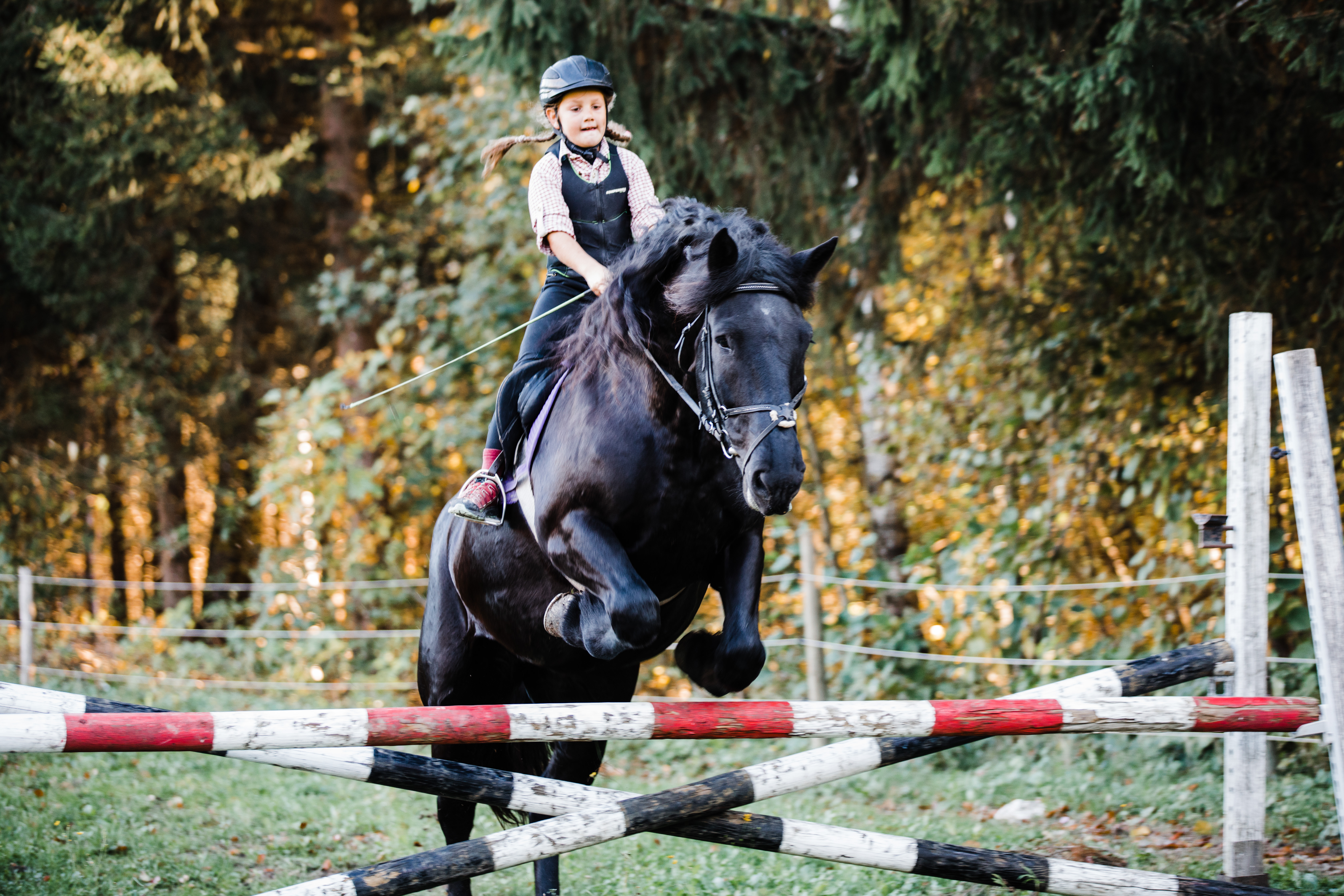 Reiten Fahren Silvia Gastager