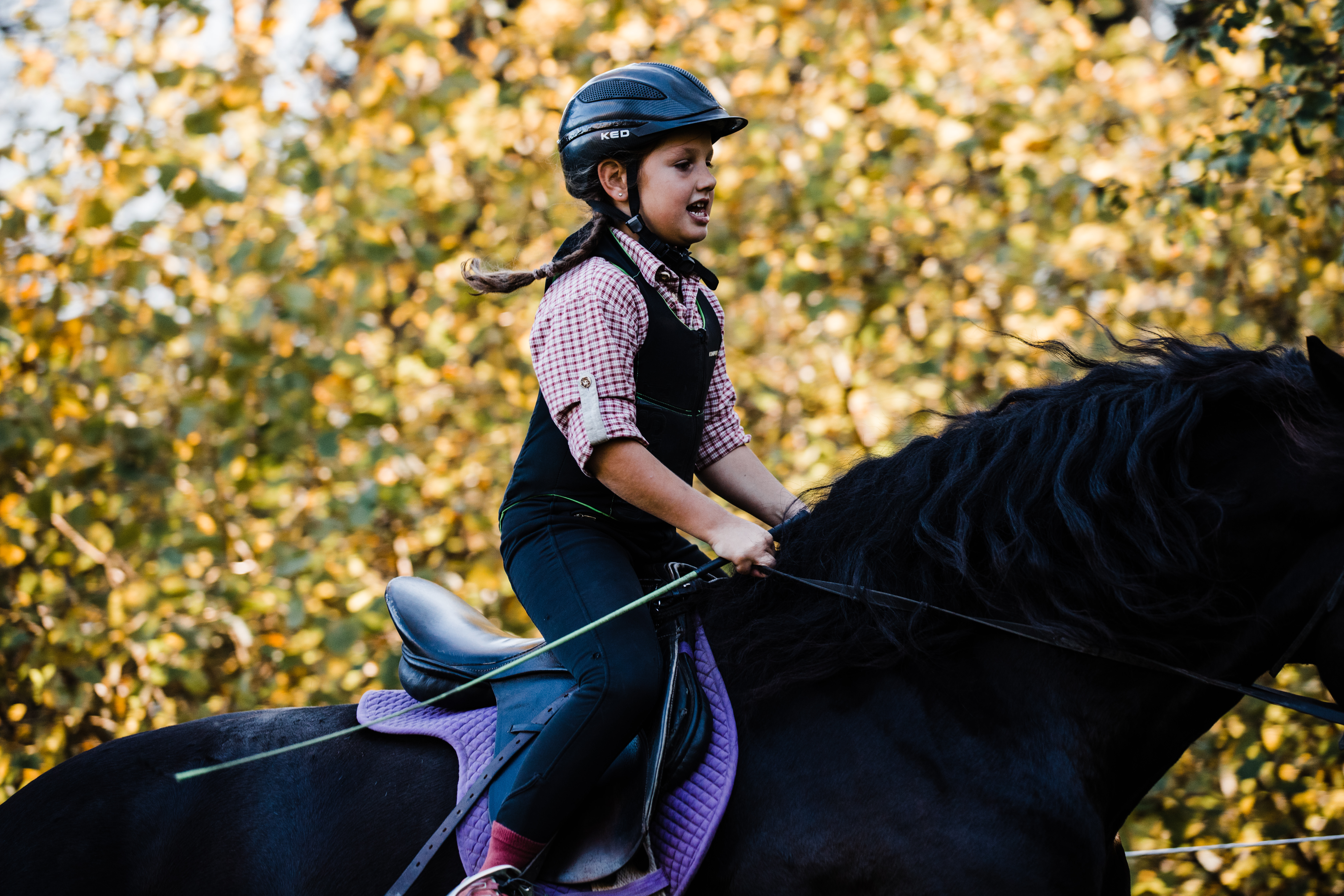 Reiten Fahren Silvia Gastager