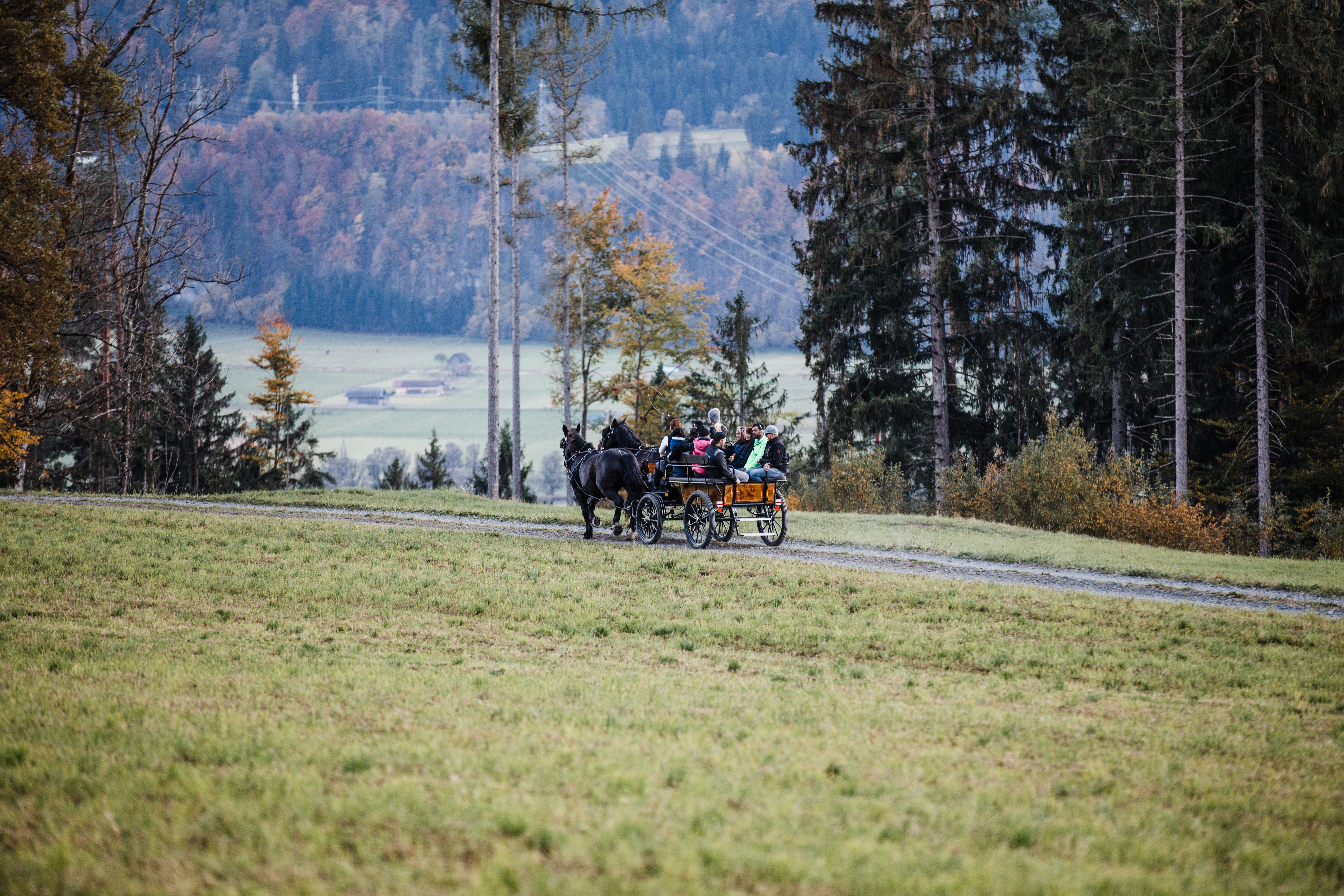 Reiten Fahren Silvia Gastager