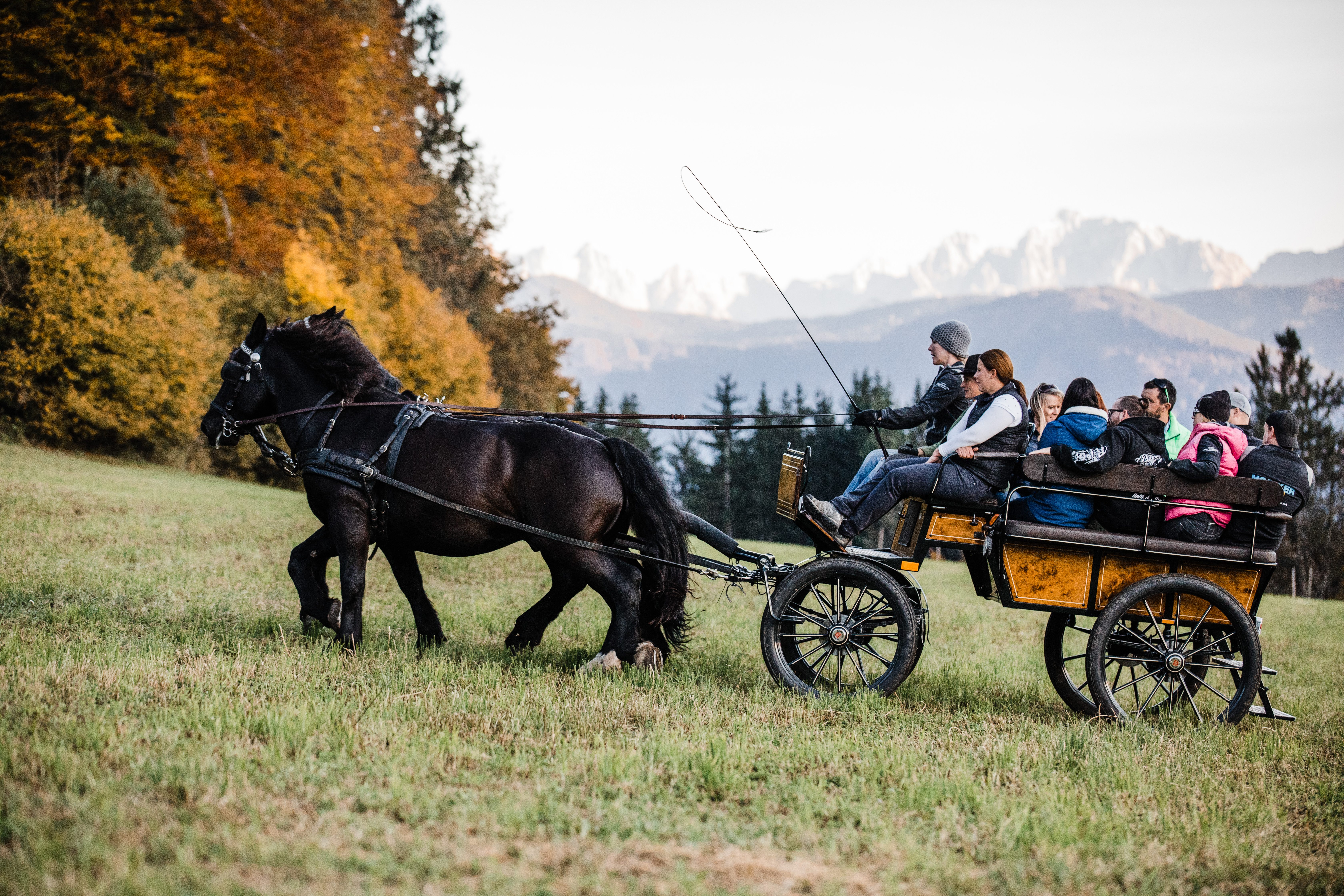 Reiten Fahren Silvia Gastager