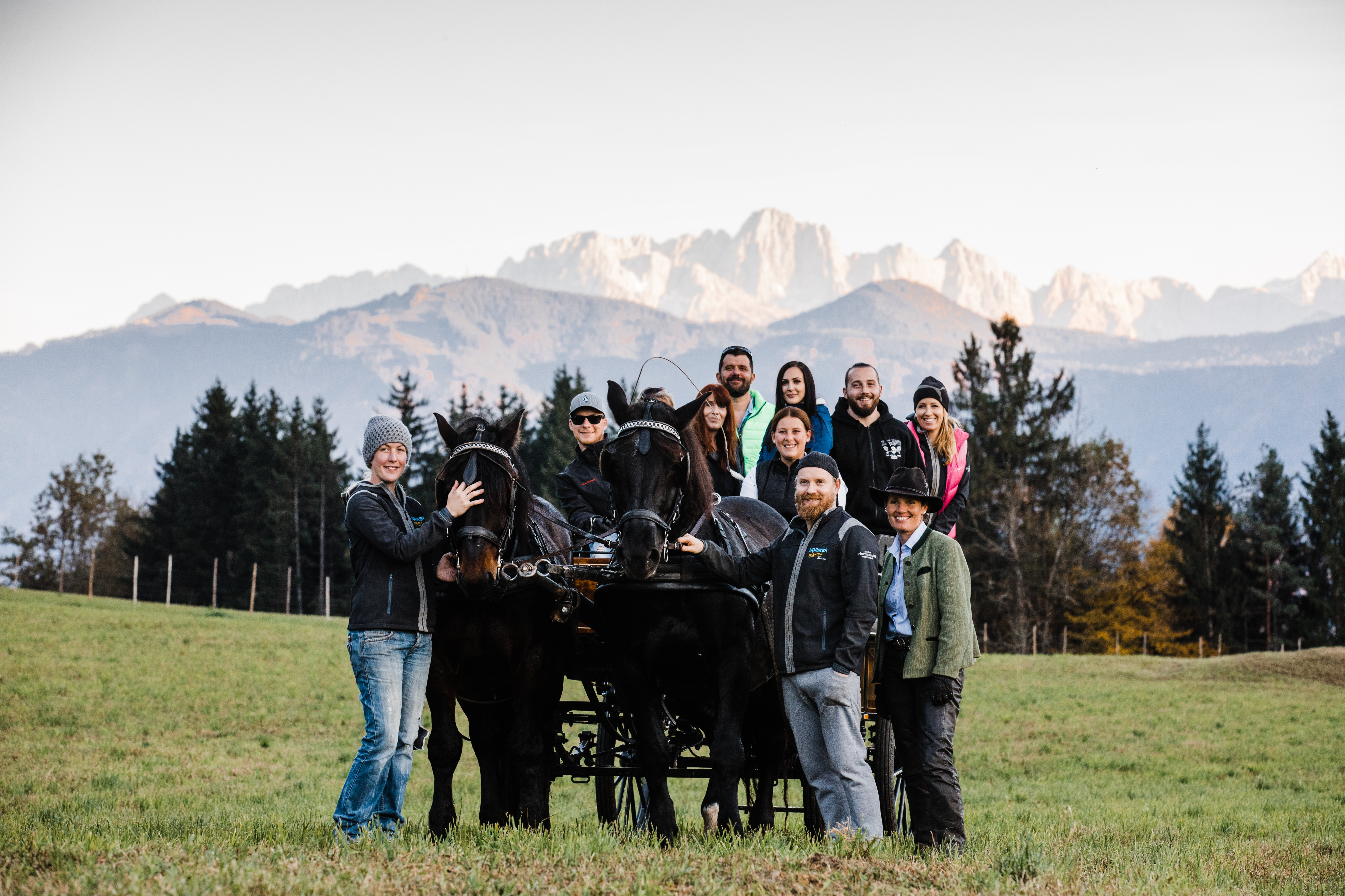 Reiten Fahren Silvia Gastager