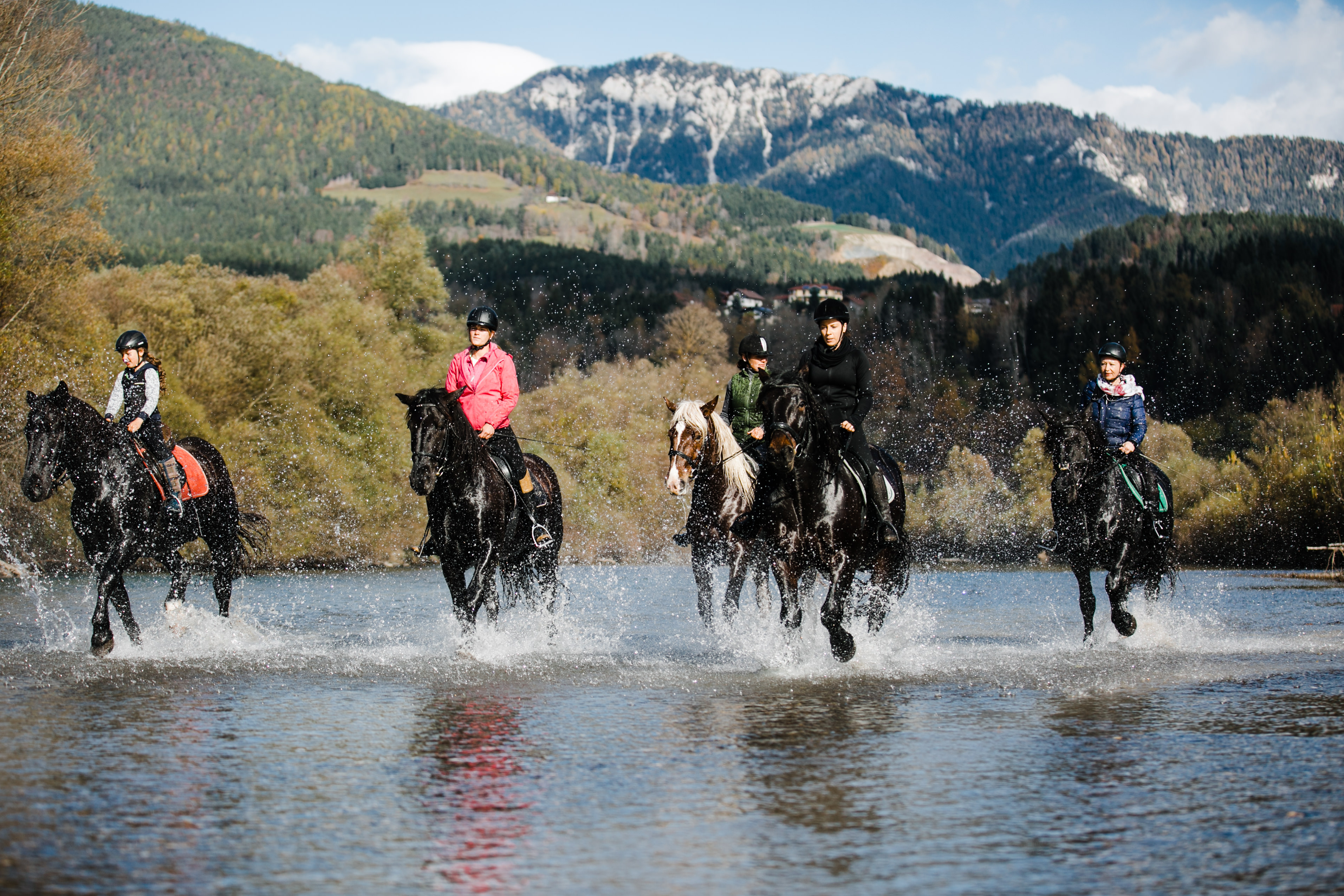 Reiten Fahren Silvia Gastager