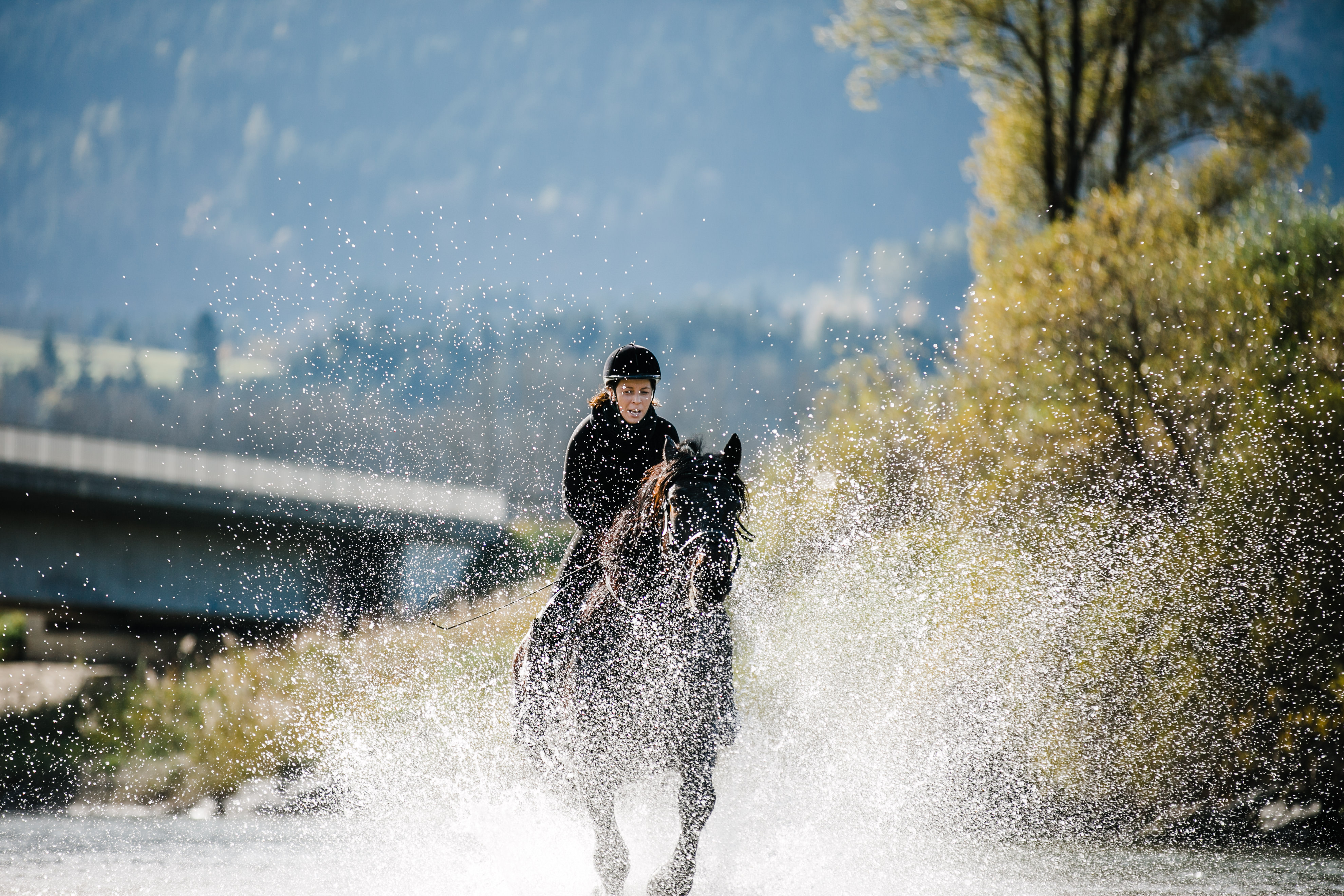 Reiten Fahren Silvia Gastager