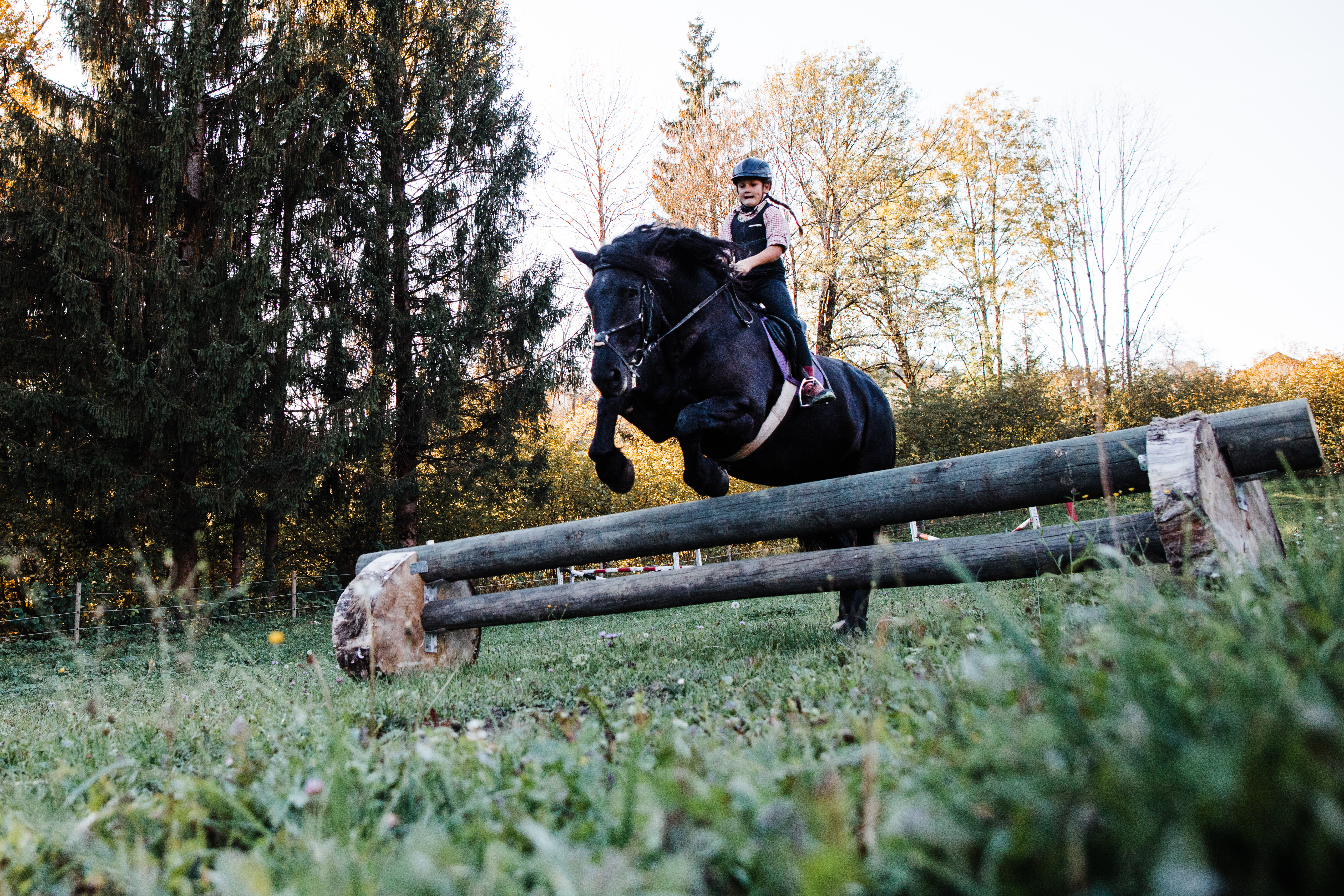 Reiten Fahren Silvia Gastager