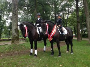 Bundeschampionat Noriker 2017