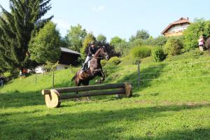 IMG 8914 (1)