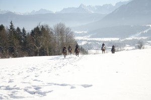 Schneeshooting-17